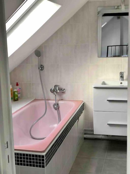 Duplex Cosy Myfontainebleau Hyper Centre 아파트 외부 사진